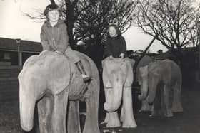 Public artwork was a part of the new town plan so kids from EK climbed on stone elephants, guitar man and other abstract installations across East Kilbride.
