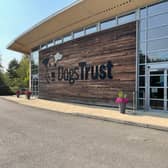 Dogs Trust Centre in Glasgow. 