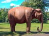 Glasgow park elephant sculpture vandalised with Rangers graffiti