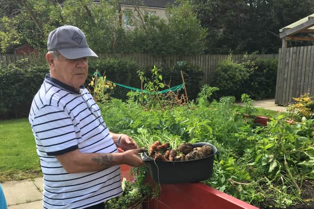 <p>Tenants are growing fruit and vegetables.</p>