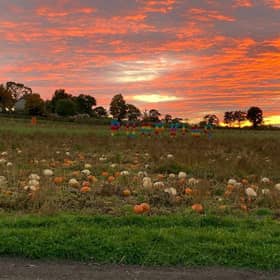 Arnprior Farm