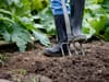 Over 250 allotments to be created in Glasgow as demand grows