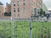 Glasgow public land to become ‘garden oasis’