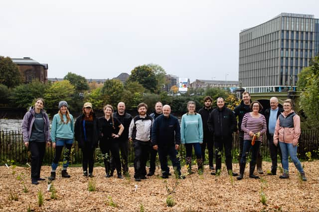 Wee Forests are being created around Glasgow city centre.