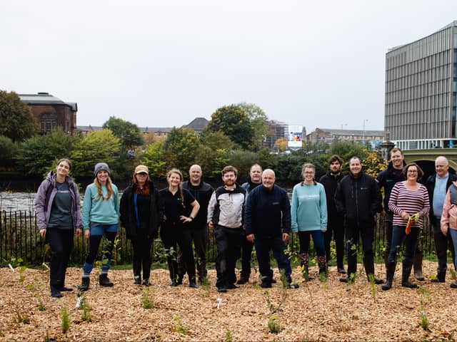 Wee Forests are being created around Glasgow city centre.