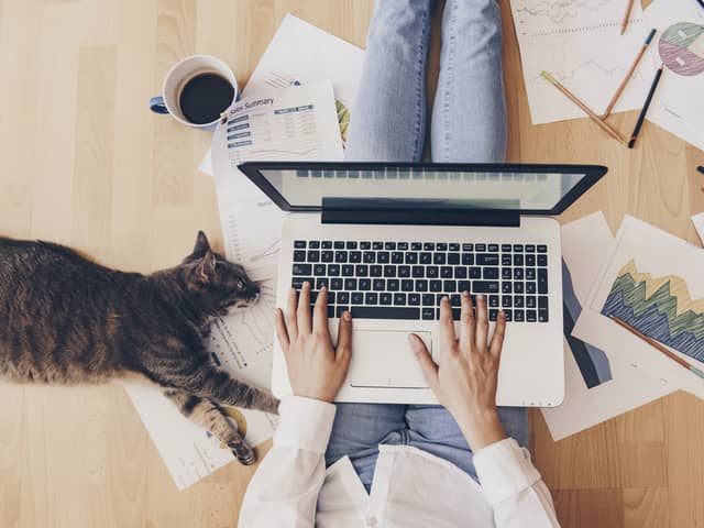One in 12 Glasgow office workers have been working from home.