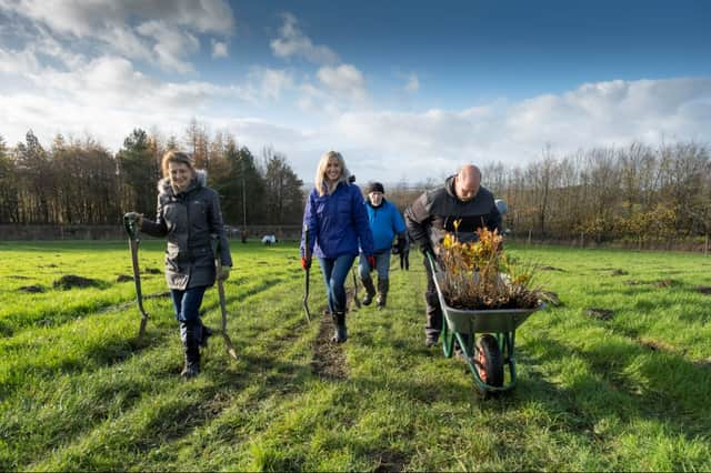 Business Steam is contributing 10,000 trees to the project.