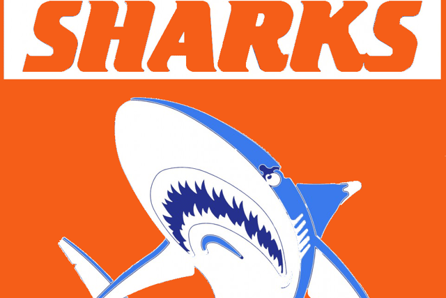 The club are changing their logo from blue to orange to match the colours of the MS Society for 2022