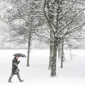 A member of the public walks through the snow in Victoria Park in Glasgow on February 9, 2021. 
