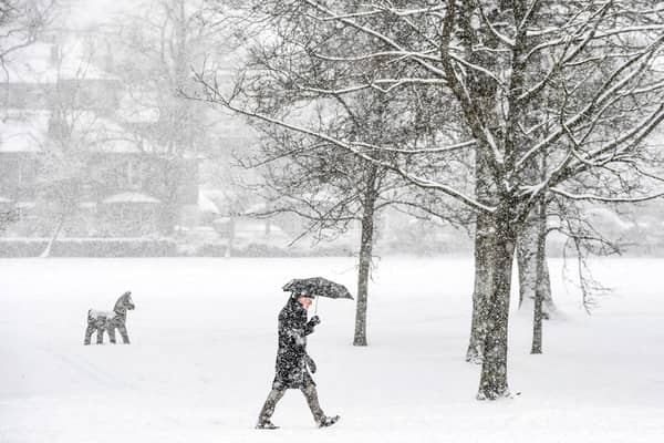 A member of the public walks through the snow in Victoria Park in Glasgow on February 9, 2021. 