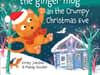 Glasgow locals release new kids’ Christmas book - Phantom the Ginger Mog and the Crumpy Christmas Eve