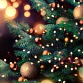 Find out how to recycle your Christmas tree.