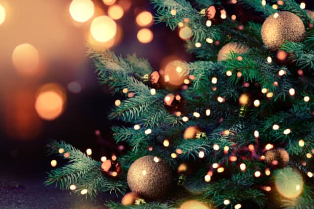 Find out how to recycle your Christmas tree.