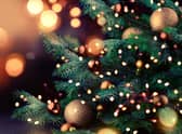 Find out how to recycle your Christmas tree.