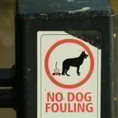 Failure to clean up after your dog can result in an on-the-spot fine ranging between £50 and £80, depending on your local council. Refusal to pay the initial fine can lead to the case being taken to court, where you could be fined up to £1,000. Some councils also make it mandatory for owners to carry a poop scoop and disposable bag when walking dogs in a public place.