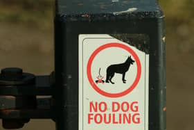 Failure to clean up after your dog can result in an on-the-spot fine ranging between £50 and £80, depending on your local council. Refusal to pay the initial fine can lead to the case being taken to court, where you could be fined up to £1,000. Some councils also make it mandatory for owners to carry a poop scoop and disposable bag when walking dogs in a public place.