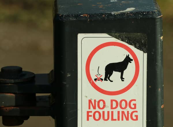 Failure to clean up after your dog can result in an on-the-spot fine ranging between £50 and £80, depending on your local council. Refusal to pay the initial fine can lead to the case being taken to court, where you could be fined up to £1,000. Some councils also make it mandatory for owners to carry a poop scoop and disposable bag when walking dogs in a public place.