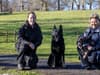 Donation helps bid to create police dog sculpture in Glasgow’s Pollok Country Park