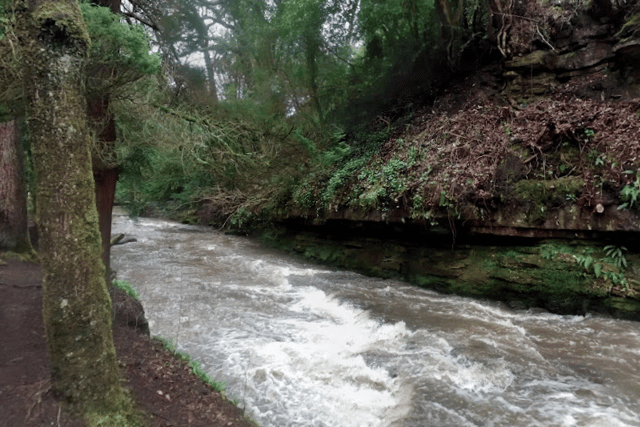 Rouken Glen (Google Maps) 