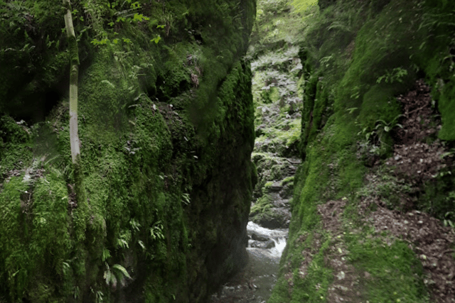 Dollar Glen image  (Google Maps) 