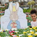 The garden centre is marking 120 years of Peter Rabbit.