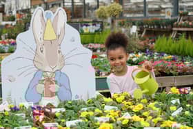 The garden centre is marking 120 years of Peter Rabbit.