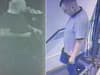 CCTV images released of two men sought after serious assault at Glasgow pub