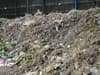 Pile of food waste at Glasgow recycling centre branded health hazard