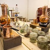 Crossbill Gin School