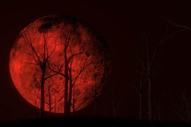 A red full moon. Image: kmls - stock.adobe.com