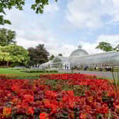 Glasgow Botanic Gardens.