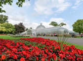 Glasgow Botanic Gardens.