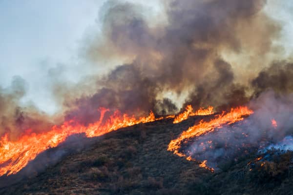 A wildfire warning has been issued.