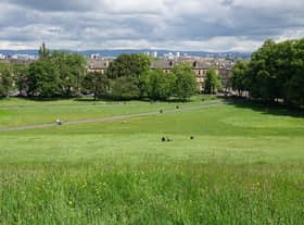 The carnival itself will be in Queen’s Park.