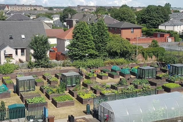 The Shettleston growing project.