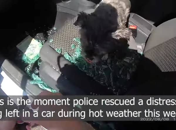 Photo: Nottinghamshire Police/SWNS)