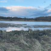 Greenhead Moss Community Nature Park (or the Perchy Pond as its known in Wishaw) was where the bog body was found - and where the memorial stands today 