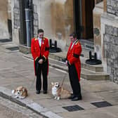 Queen Elizabeth II’s corgis watched on as Her Majesty’s coffin arrived at Windsor Castle for the Committal service on Monday 19 September.