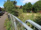 The site where the flats could be built.