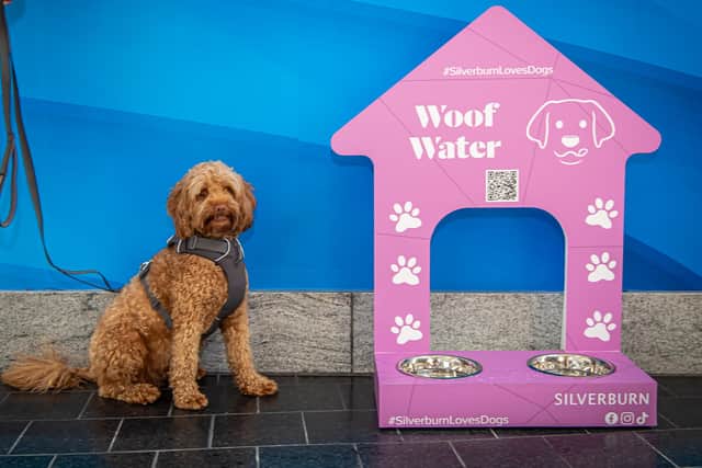 Dog stations are located throughout the shopping centre.