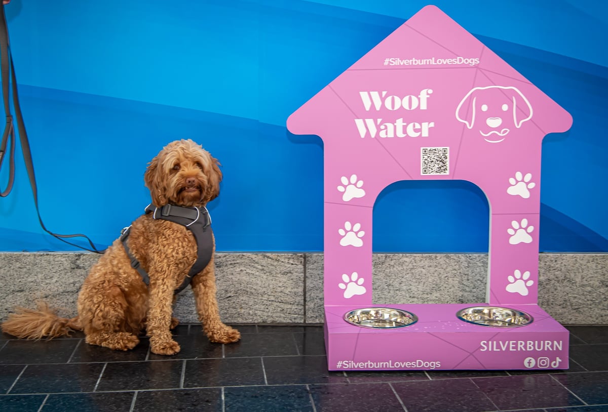 Major Glasgow shopping centre now dog friendly – with water bowls and waste bag stations