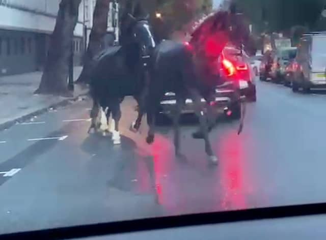 Screen grabs showing the bizarre moment three horses galloped through traffic - in the middle of London. 