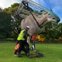 The dinosaurs at the Botanic Gardens.