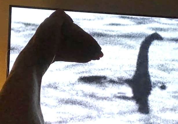 Sue Keogh thinks that she’s solved the Loch Ness Monster mystery - what do you think?