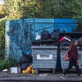 There are calls for bin timetables to be issued.