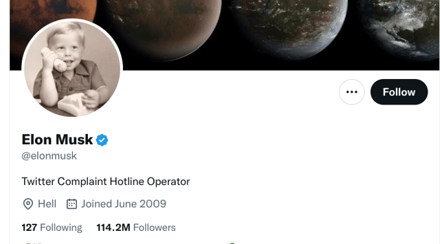 Elon Musk changed his Twitter bio amidst a hail of criticisms this week - seven days since taking over Twitter