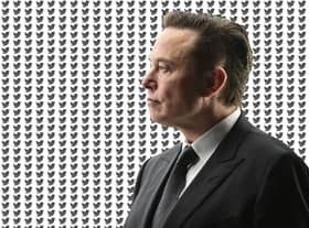 Elon Musk’s influence at Twitter is starting to be felt within the product itself (Image: NationalWorld / Getty Images)