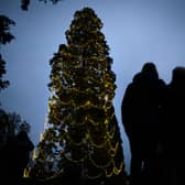 Ibrox will receive a Christmas Tree this year - despite the high price point