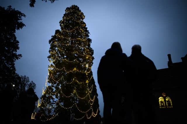 Ibrox will receive a Christmas Tree this year - despite the high price point