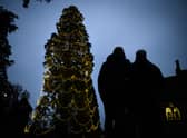 Ibrox will receive a Christmas Tree this year - despite the high price point